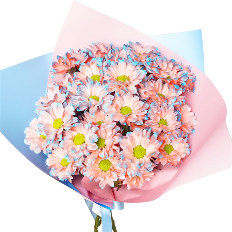 Rainbow Daisies (Gökkuşağı Papatyaları)