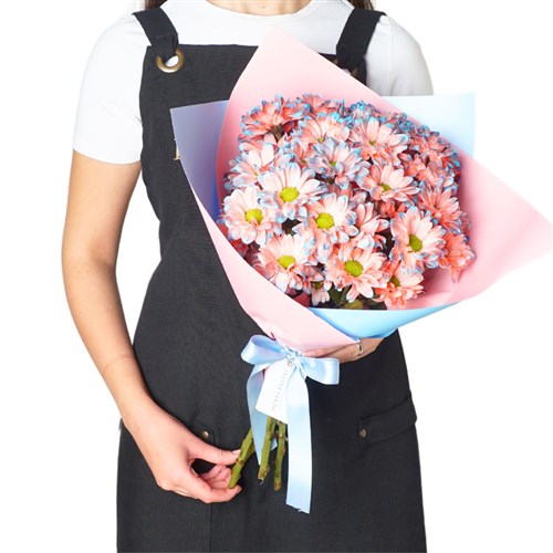 Rainbow Daisies (Gökkuşağı Papatyaları)