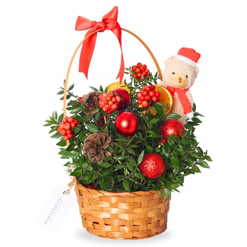 New Year Basket with Teddy (Kokinalı Yılbaşı Sepeti)