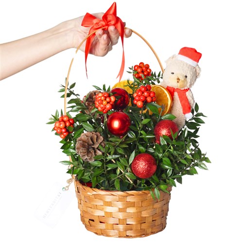 New Year Basket with Teddy (Kokinalı Yılbaşı Sepeti)