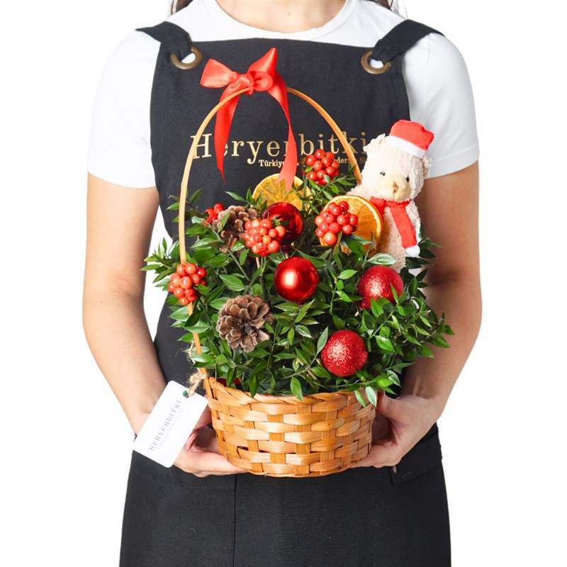 New Year Basket with Teddy (Kokinalı Yılbaşı Sepeti)