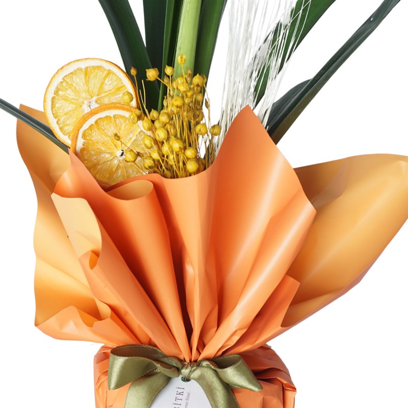 Clivia Bloom (Turuncu Clivia Çiçeği)