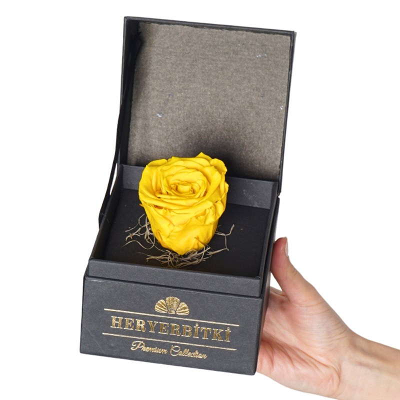 Premium Boxed Yellow Everlasting Rose