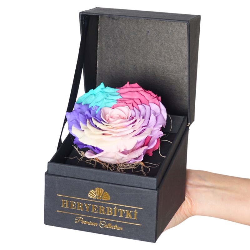 Premium Kutuda XL Rainbow Solmayan Gül