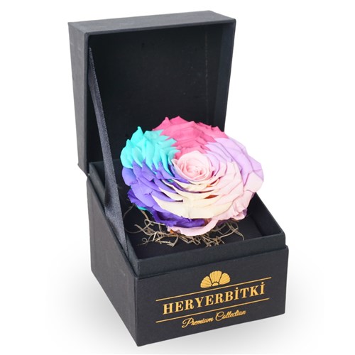 Premium Kutuda XL Rainbow Solmayan Gül