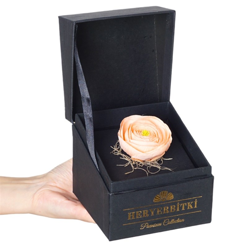 Premium Kutuda Solmayan Erengül Somon