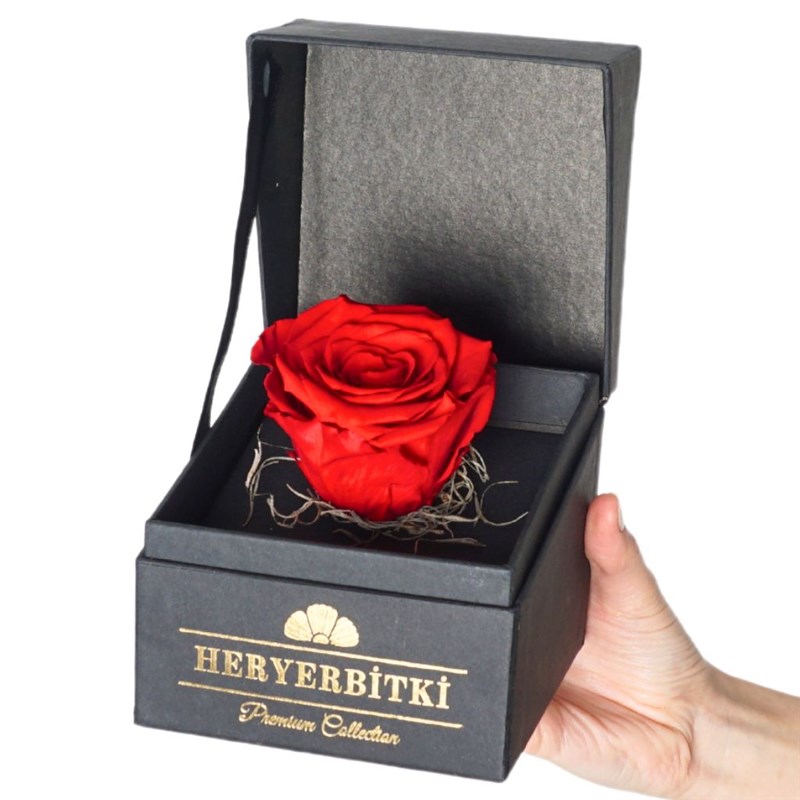 Premium Kutuda Kırmızı Solmayan Gül
