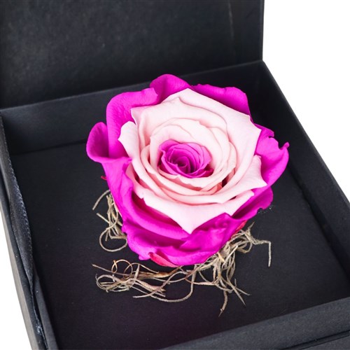 Premium Kutuda Pembe-Beyaz Solmayan Gül