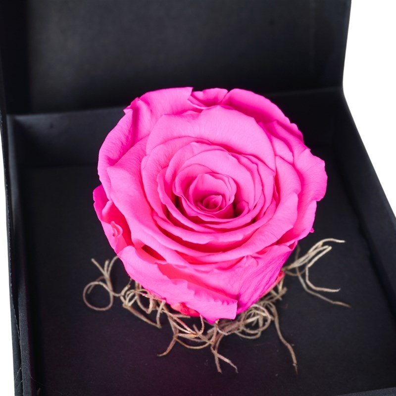 Premium Kutuda Pembe Solmayan Gül