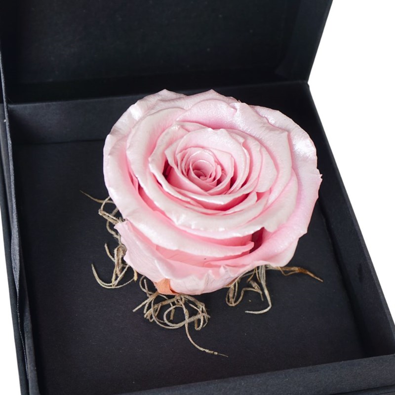 Premium Kutuda Metalik Pembe Solmayan Gül