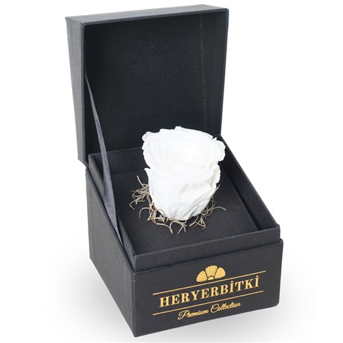 Premium Kutuda Beyaz Solmayan Gül