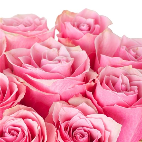 Premium Beyaz Kutuda Pembe Güller