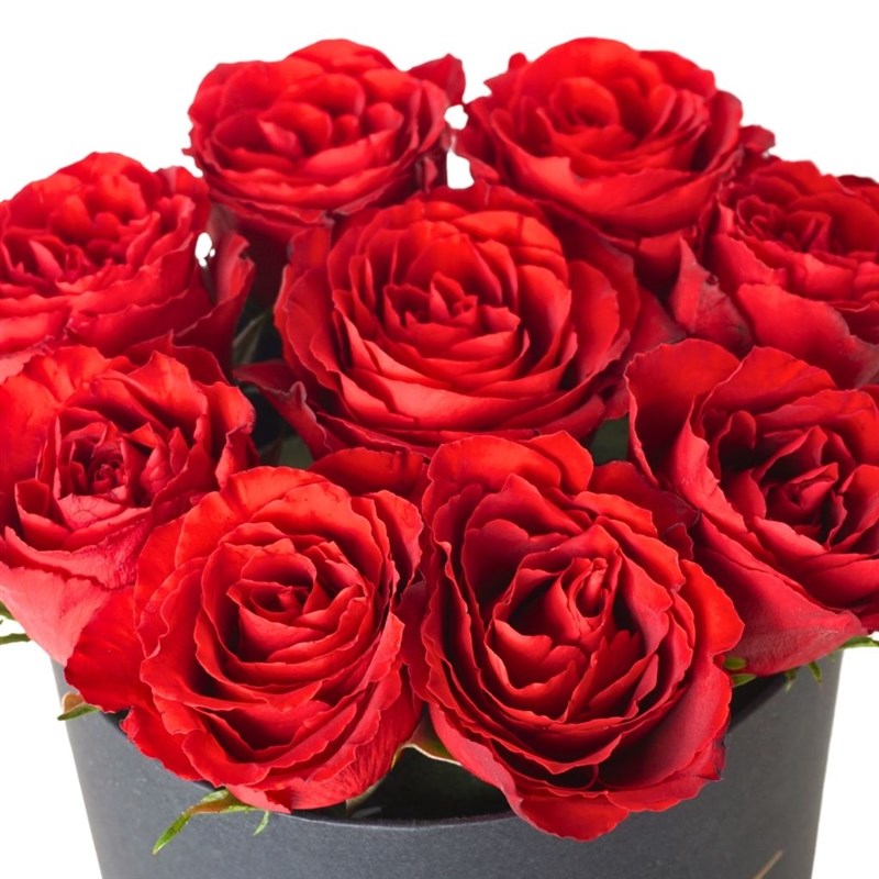 Premium Red Roses in a Black Box