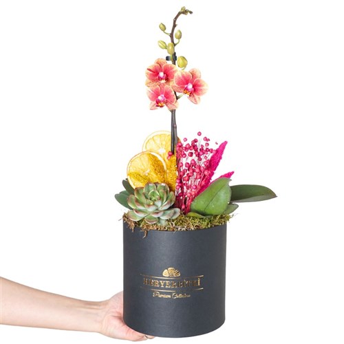 Premium Box Coral Gift (Siyah Kutuda Ateş Orkide Aranjmanı)