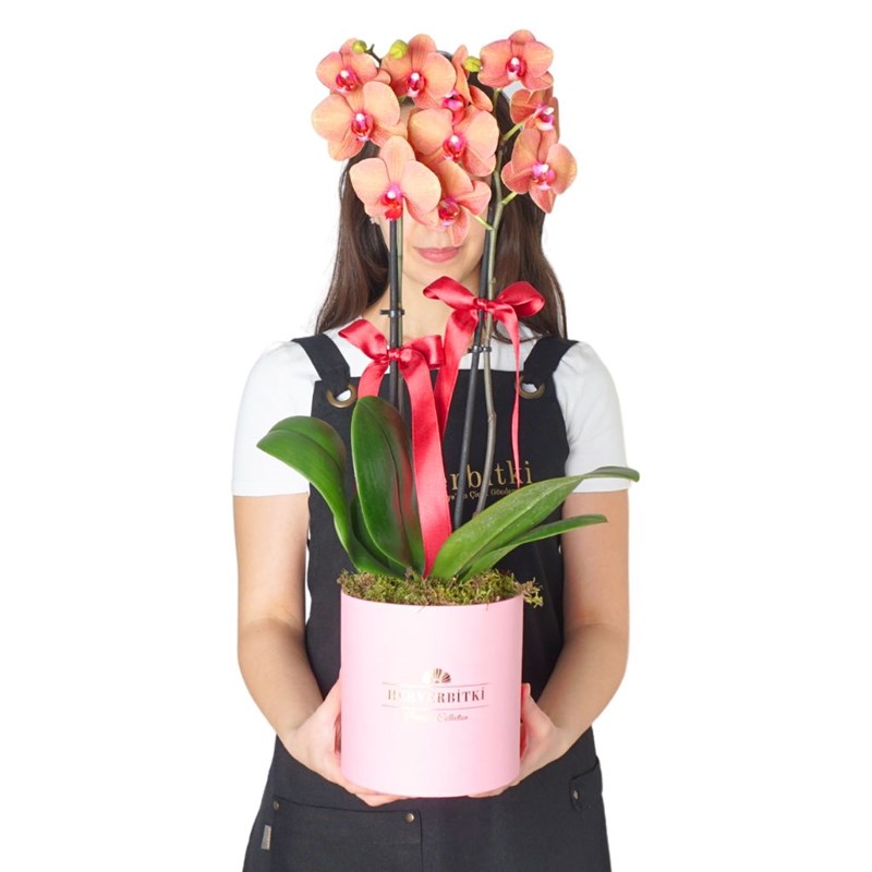 Premium Box Coral (Pembe Kutuda Ateş Orkide Aranjmanı)