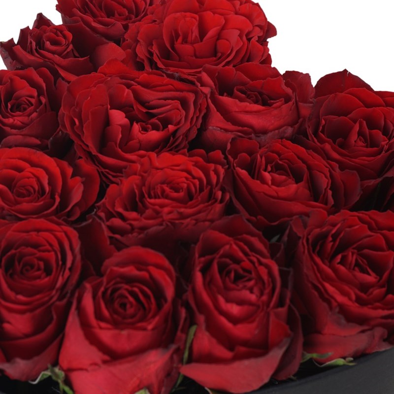 Heart Premium Box with 19 Red Roses