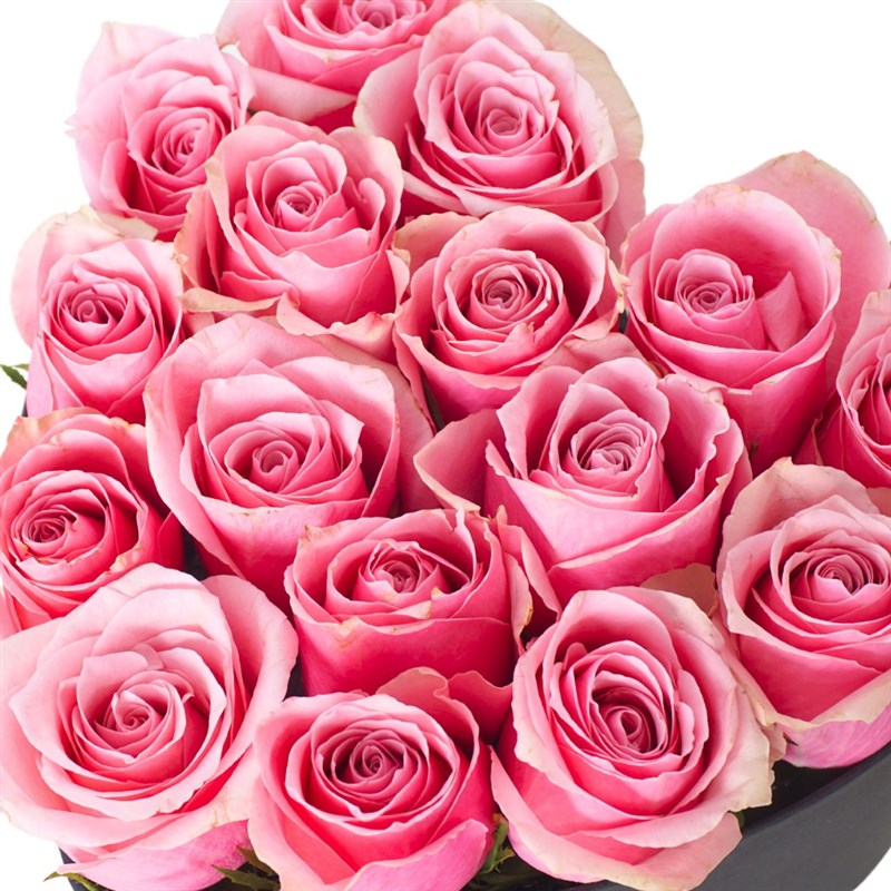 Heart Premium Box with 19 Pink Roses