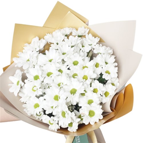 Freshness (Büyük Beyaz Papatya Buketi)