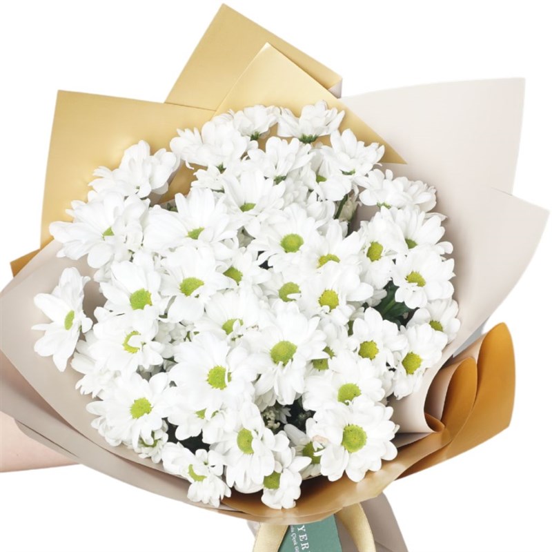 Freshness (Büyük Beyaz Papatya Buketi)