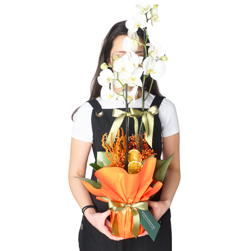 Celebrate Orchid (White Orchid Arrangement)