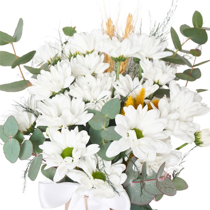 Floral Daisy Dreams (Daisy Bouquet Arrangement)