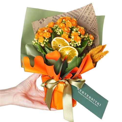 Orange Kalanchoe Gift