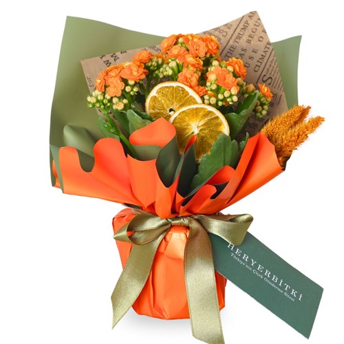 Orange Kalanchoe Gift