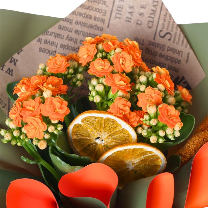 Orange Kalanchoe Gift