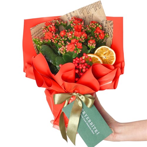 Red Kalanchoe Gift (Kırmızı Çiçekli Kalanşo)