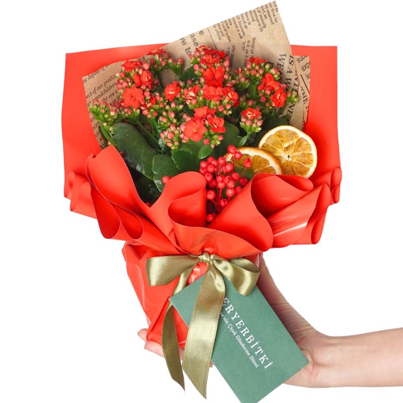 Red Kalanchoe Gift