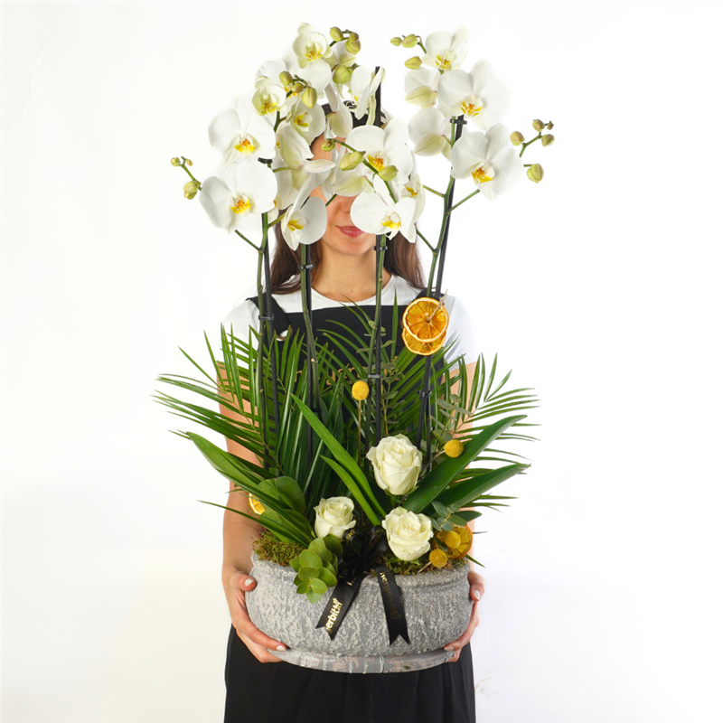 4 Dallı Beyaz Orkide ve Güller Aranjmanı (Premium White Orchid & Rose)
