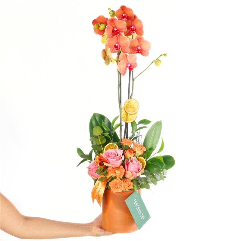 Inspiration Bloom (Coral Orkide ve Güller Aranjmanı)