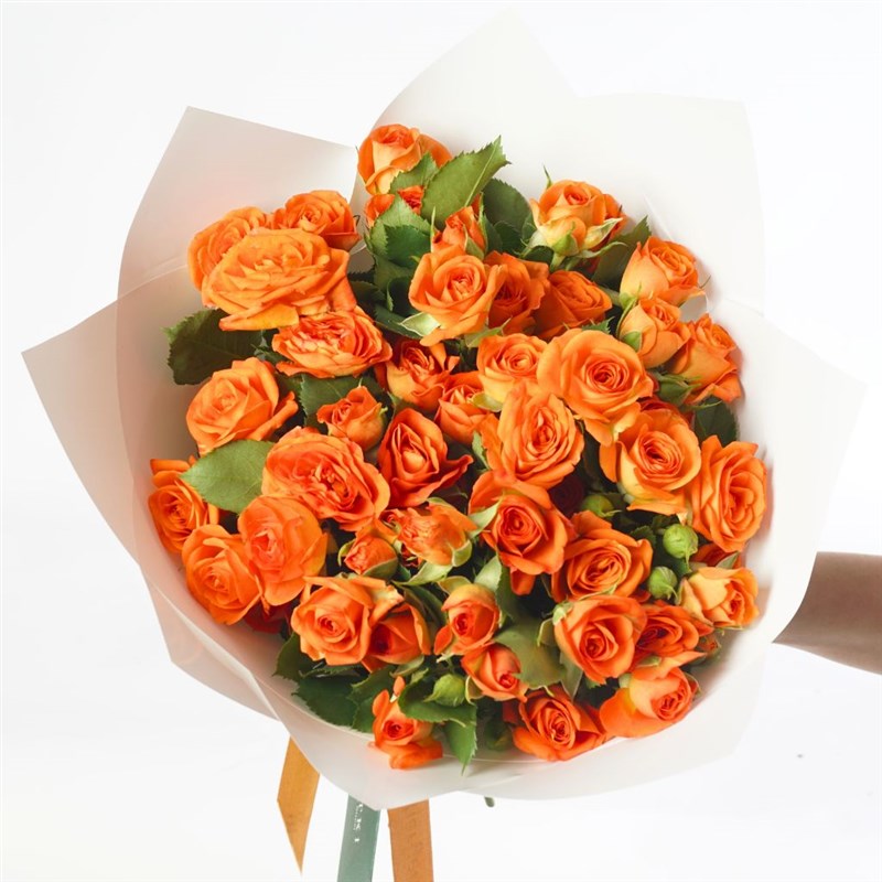 Infinite Orange Roses