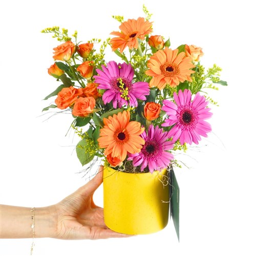 Cheerful Heart (Gerbera ve Güller Aranjmanı)