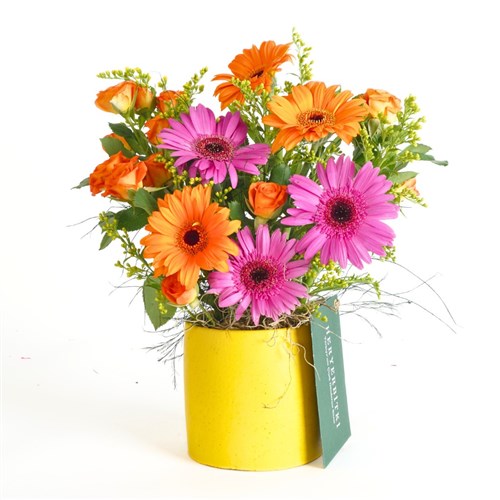 Cheerful Heart (Gerbera ve Güller Aranjmanı)