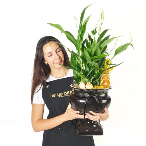 Premium Ayaklı Vazoda Barış Çiçeği Aranjmanı