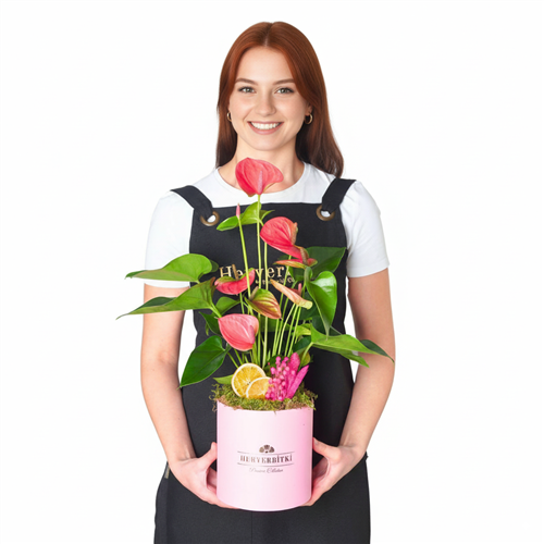 Premium Anthurium Gift (Pink Anthurium Arrangement)