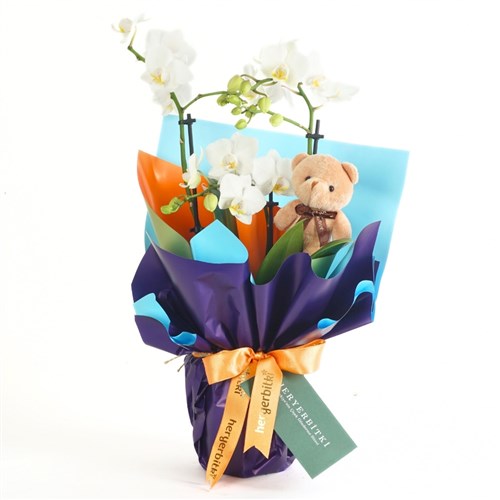 Cuddle Orchid (Beyaz Orkide ve Sevimli Ayıcık Aranjmanı)