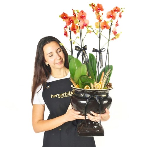 Premium Coral Gift (4 Dallı Ayaklı Vazoda Coral Orkide Aranjmanı)