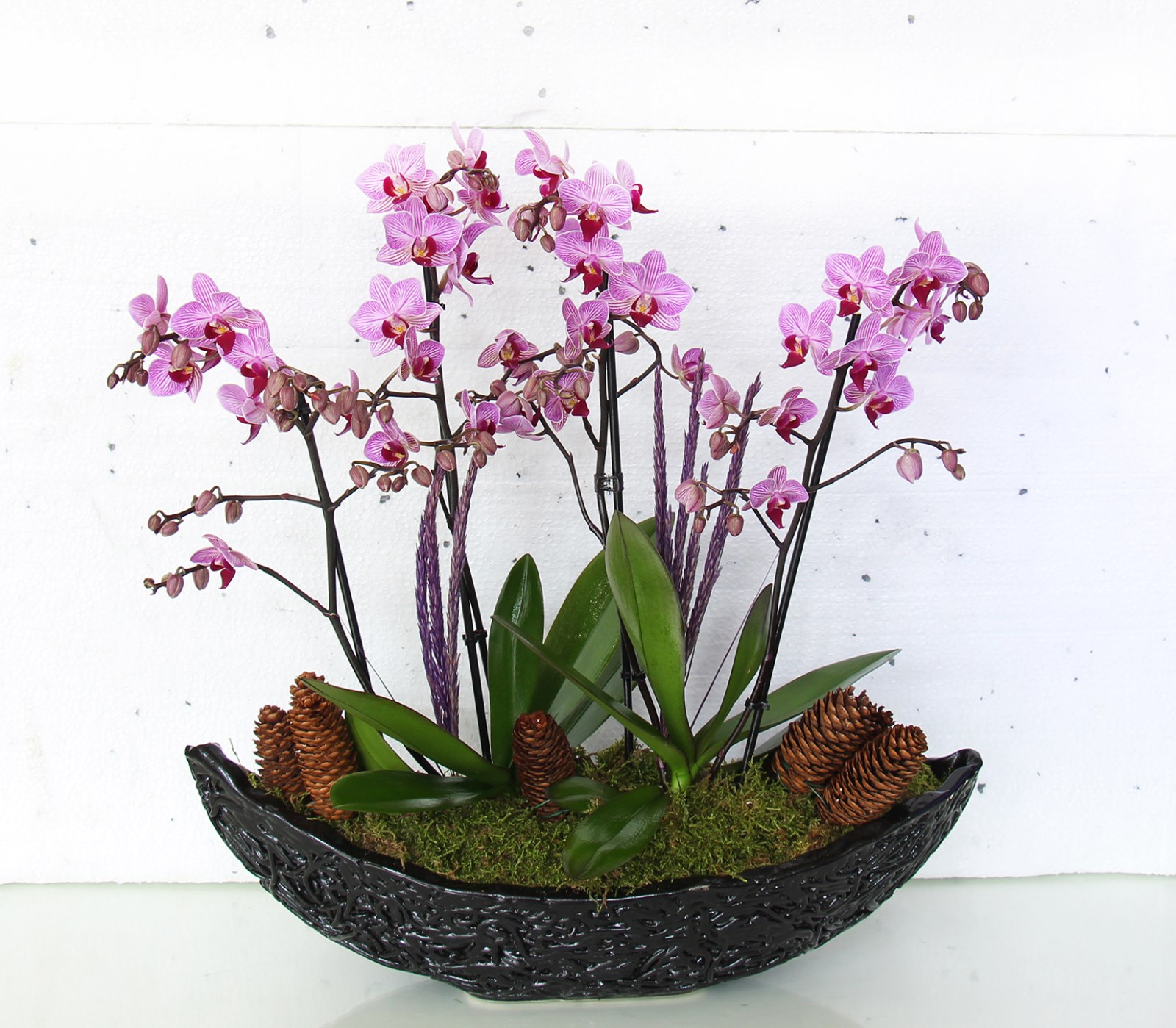 Kayık vazoda 4 dallı midi mor orkide tasarımı