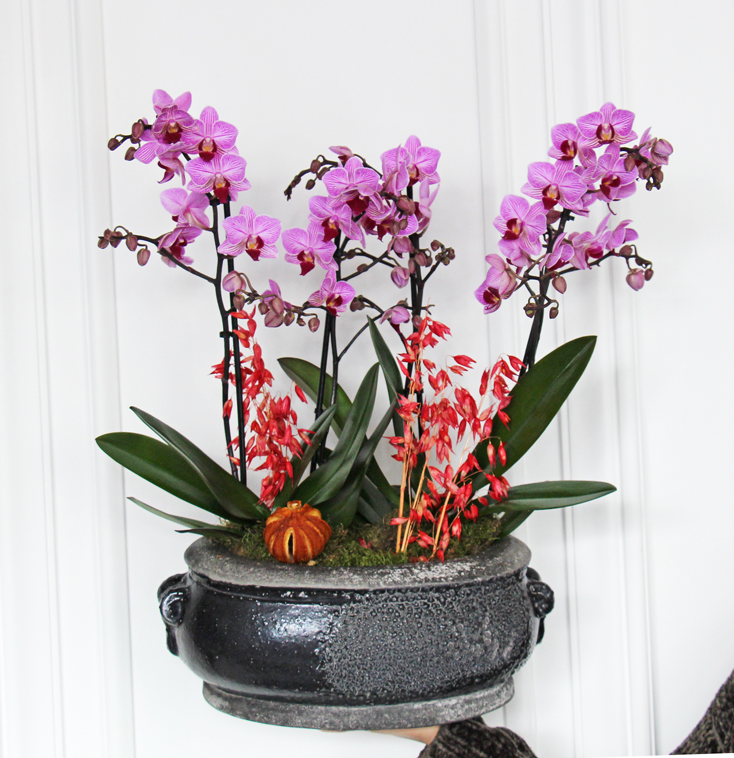 4 dallı mor midi orkide tasarımı