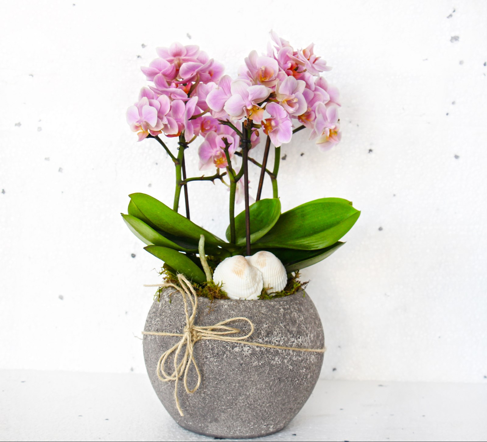 Lila midi orkidem