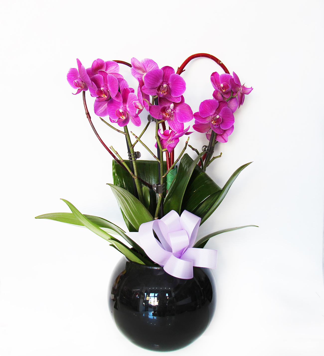 Kalbim Midi orkide