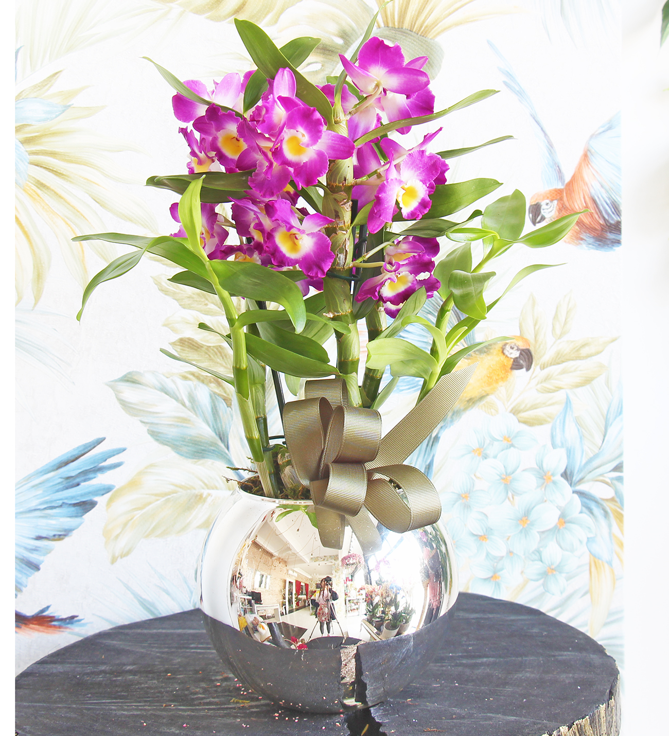 Gümüş seri Dendrobium Deluxe Orkide