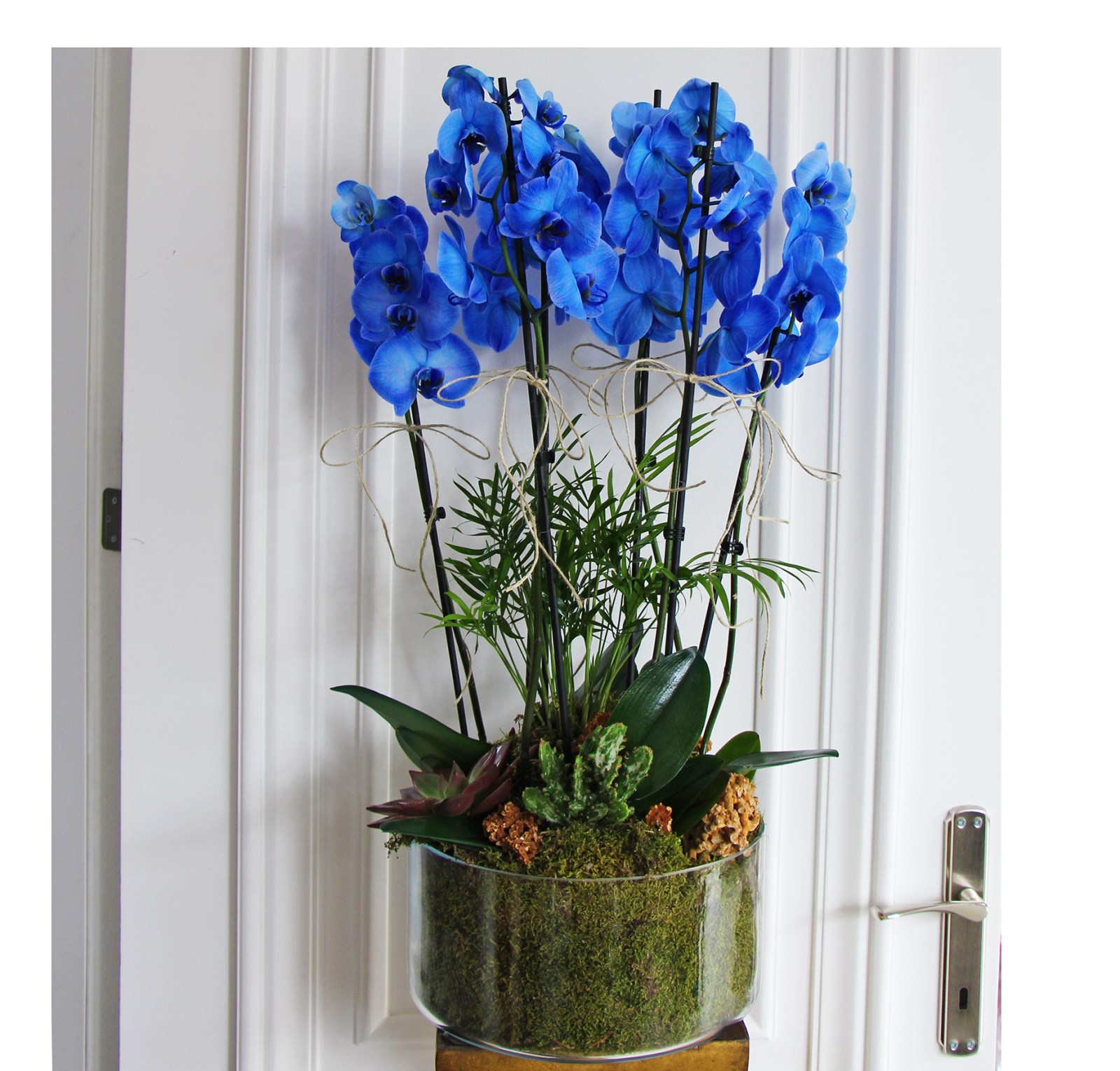 4 dallı doğal tasarım mavi orkide