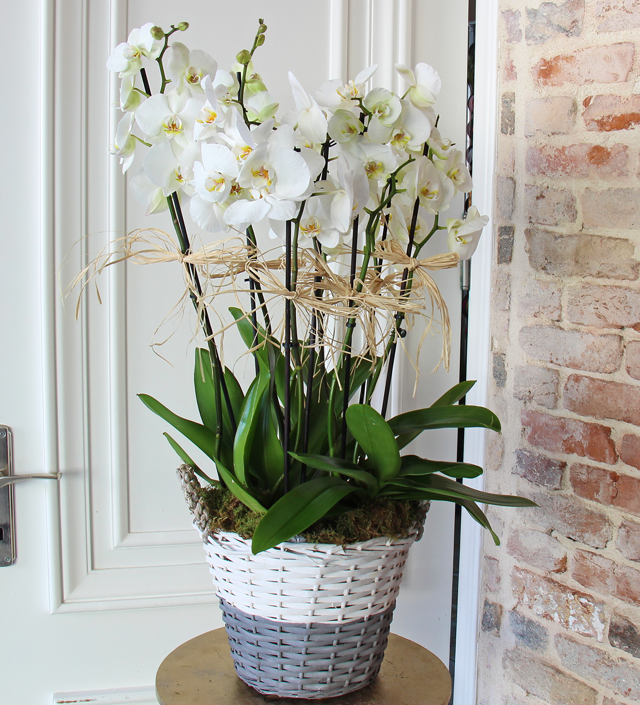 Matila sepette 8 dallı beyaz orkide tasarımı