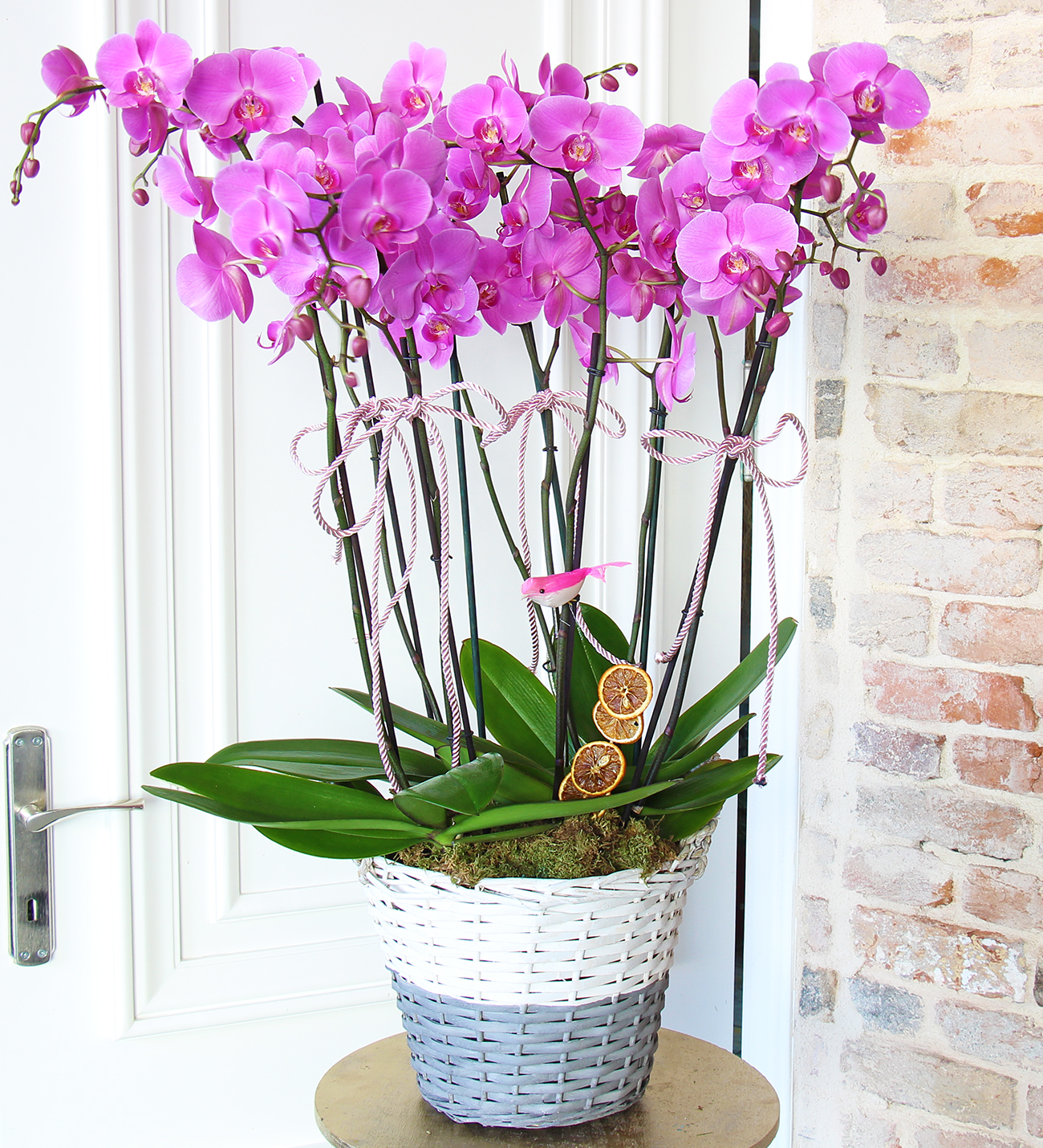 Matila sepette 8 dallı mor orkide tasarımı