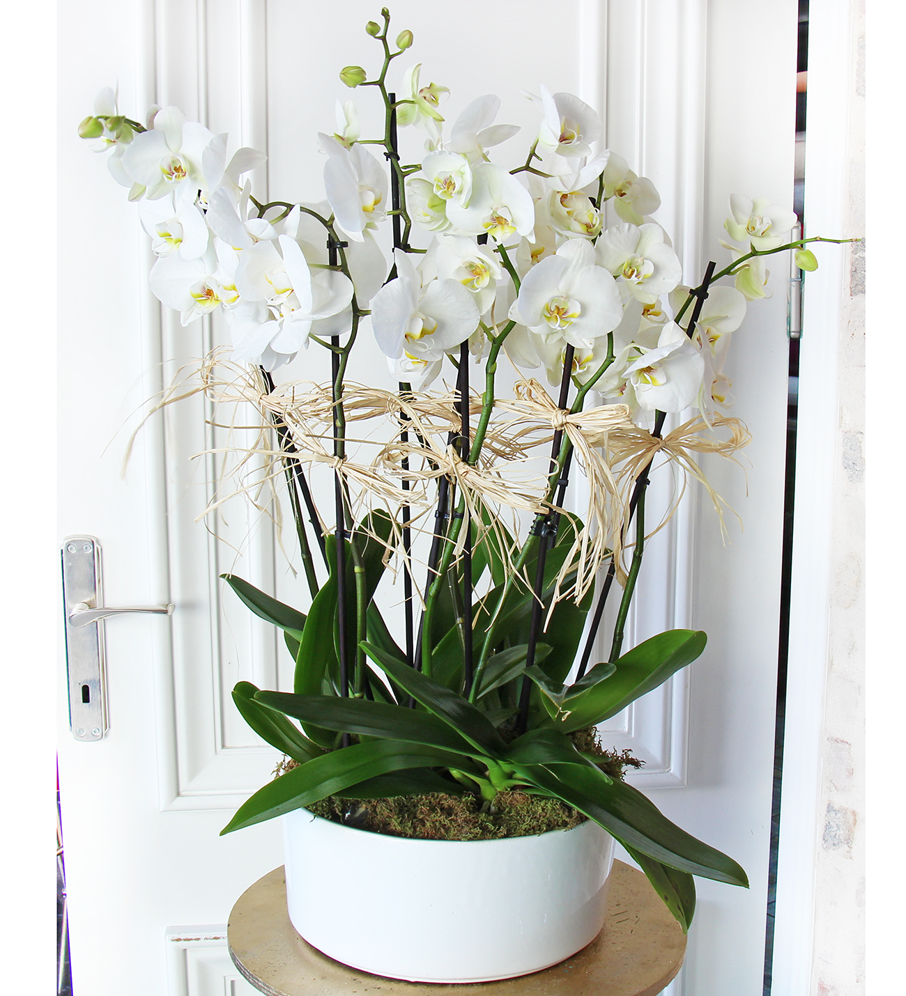 Matila seramik vazo da 8 dallı beyaz orkide tasarımı