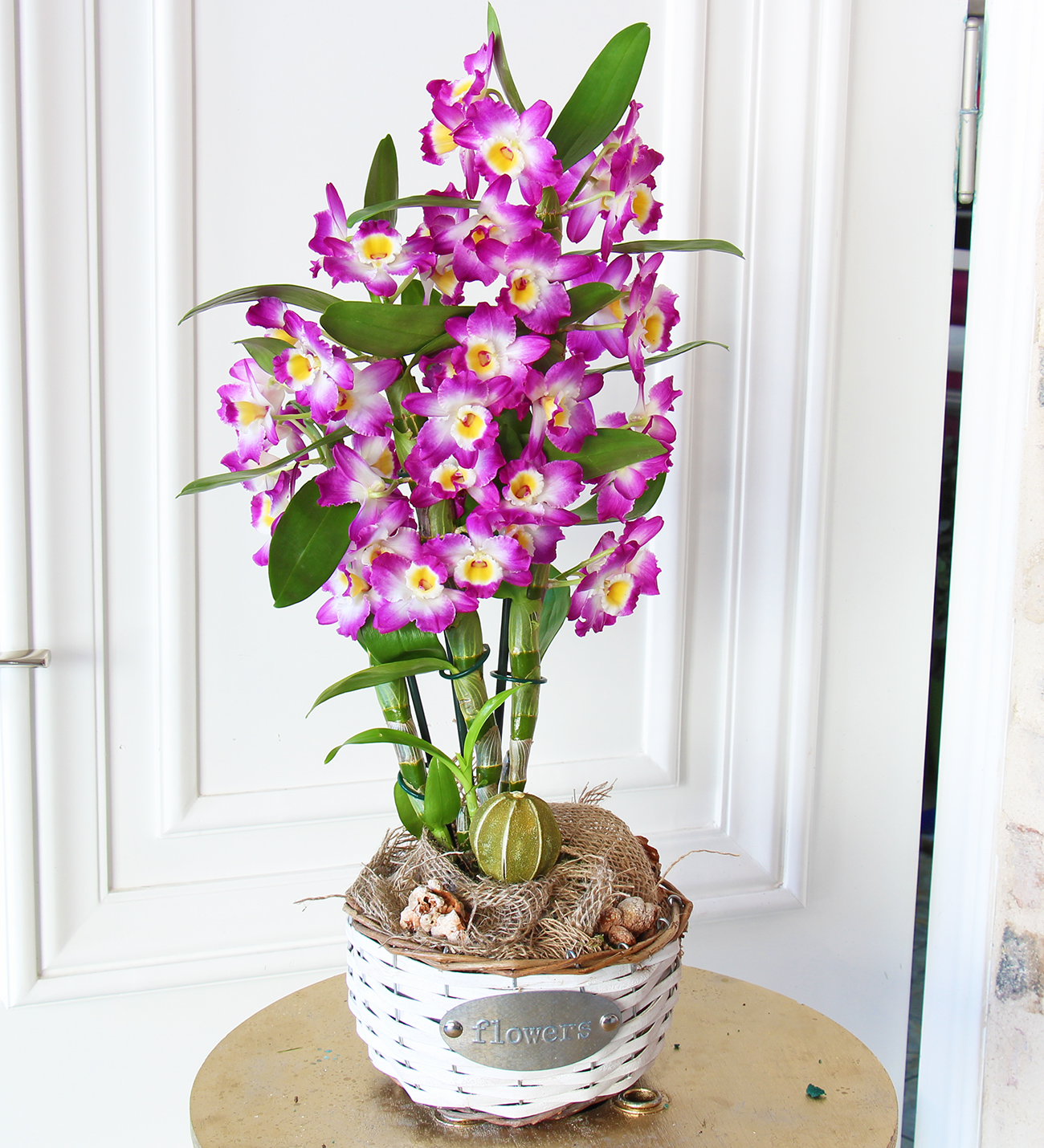 Matila sepette Dendrobium Deluxe Orkide tasarımı