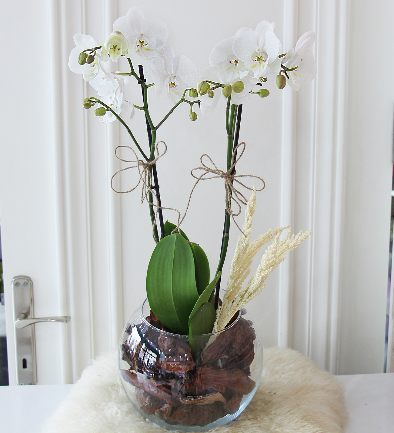 Doğal kütük seri beyaz orkidemiz